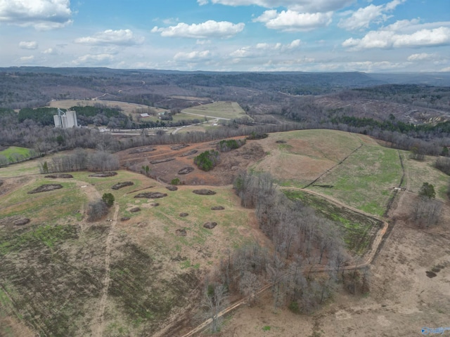 189ACRES Carnes Chapel Rd, Attalla AL, 35954 land for sale