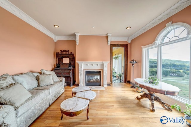 living room featuring light hardwood / wood-style flooring and crown molding