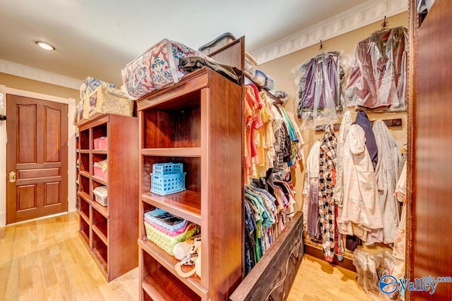 walk in closet featuring light wood-type flooring