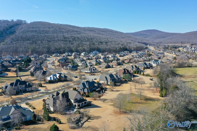 birds eye view of property featuring a mountain view