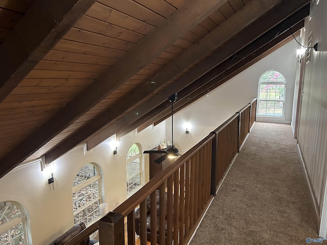 corridor featuring lofted ceiling with beams, carpet flooring, and wood ceiling