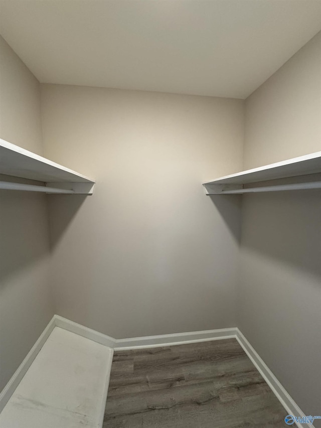 walk in closet with wood-type flooring