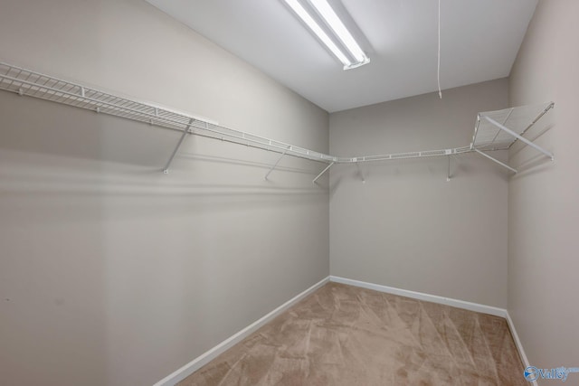 spacious closet featuring light colored carpet