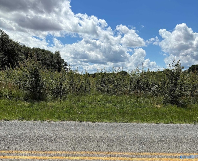 LOT16 Vanzille Ln, Athens, AL 35611