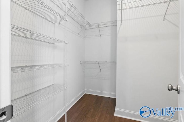 walk in closet with wood finished floors