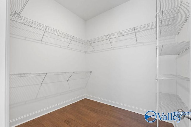 spacious closet with wood finished floors