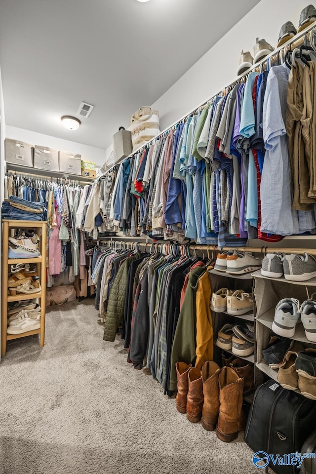 3015 Peevey Creek Ln, Owens Cross Roads, AL 35763 - spacious closet with carpet