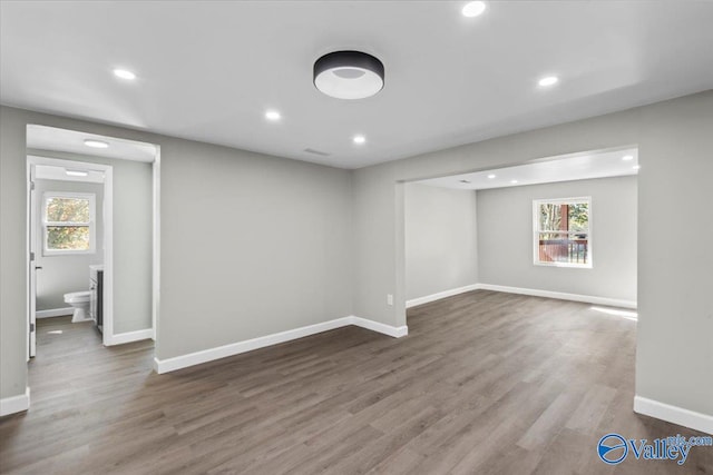 empty room featuring wood-type flooring and plenty of natural light