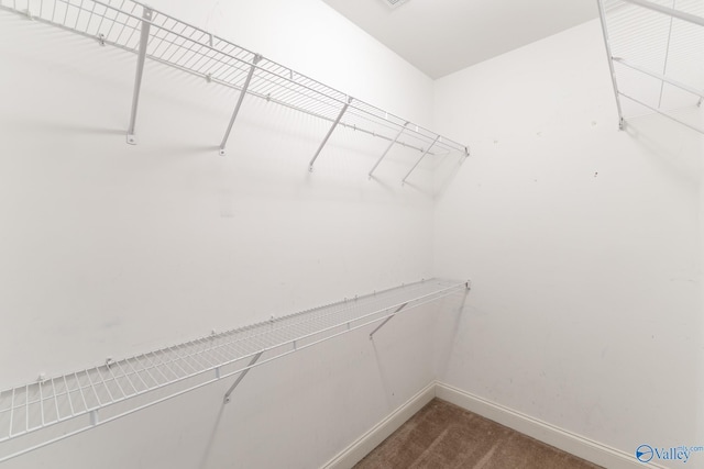 spacious closet with carpet floors