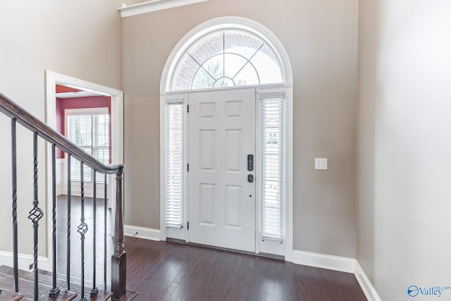 entrance foyer with dark wood-type flooring