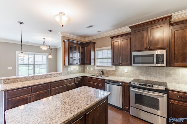 kitchen featuring sink, dark hardwood / wood-style flooring, plenty of natural light, and stainless steel appliances