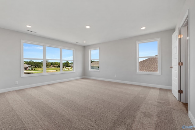 unfurnished bedroom featuring a raised ceiling, light colored carpet, and multiple windows