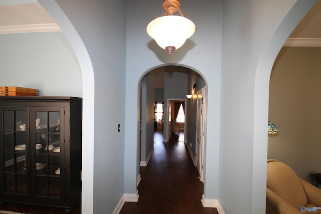 hall with dark hardwood / wood-style flooring and crown molding