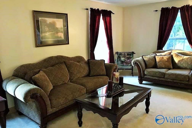 living room with carpet floors