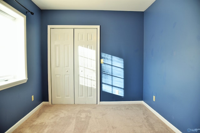 carpeted entryway featuring a wealth of natural light