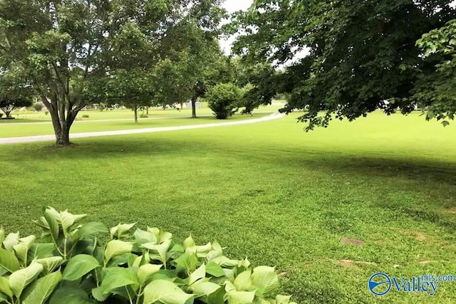 view of community featuring a yard