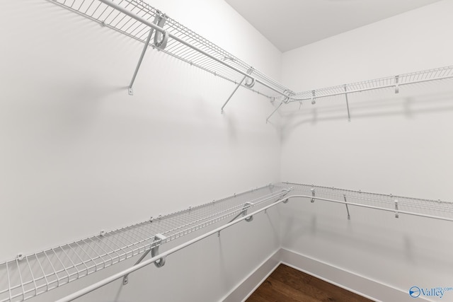 walk in closet featuring dark hardwood / wood-style floors