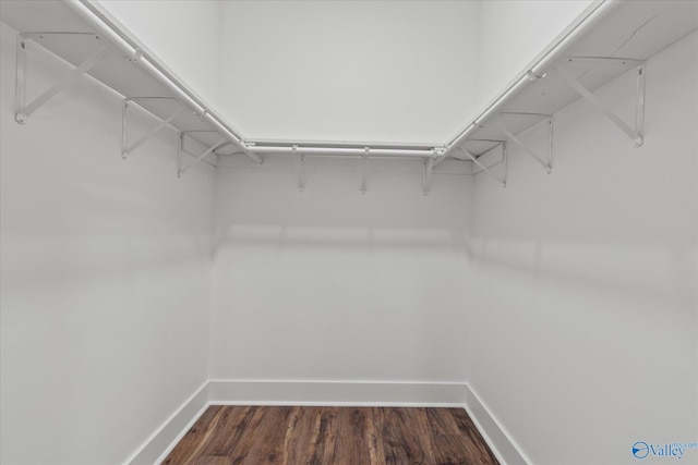 spacious closet with dark wood-type flooring