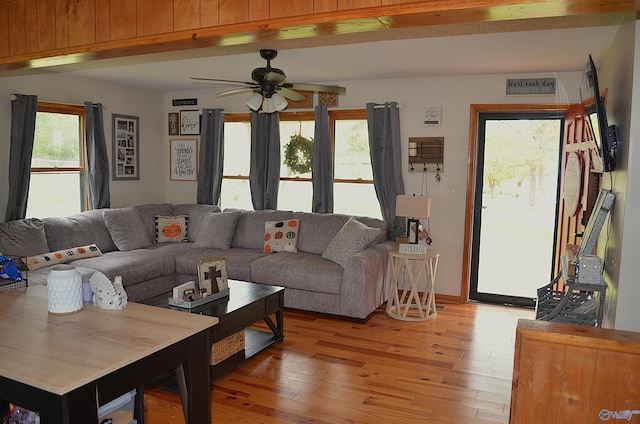 living room with ceiling fan and light wood-type flooring