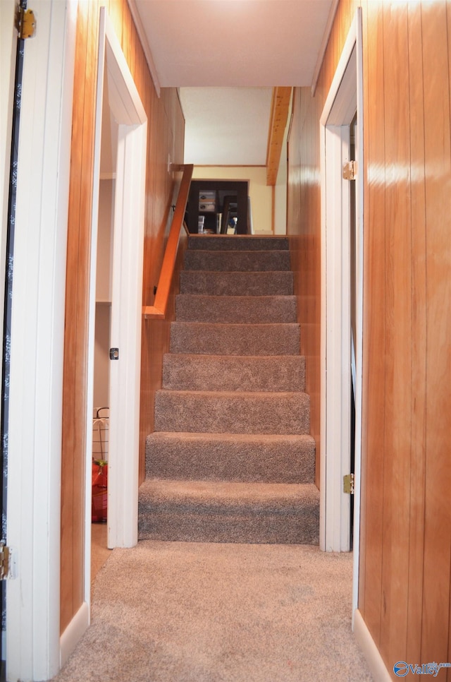 stairs featuring carpet and wooden walls