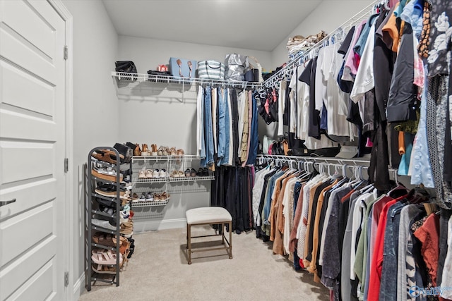 spacious closet with carpet flooring