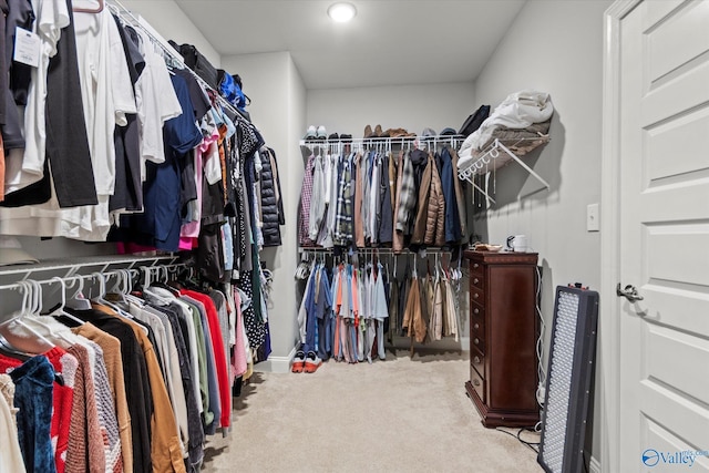 spacious closet featuring light carpet