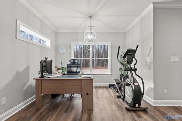 office with dark hardwood / wood-style flooring and crown molding