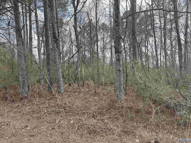 LOT9 Quinn Dr, Gadsden AL, 35903 land for sale