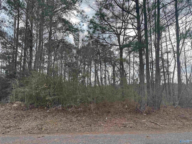 Listing photo 3 for LOT9 Quinn Dr, Gadsden AL 35903