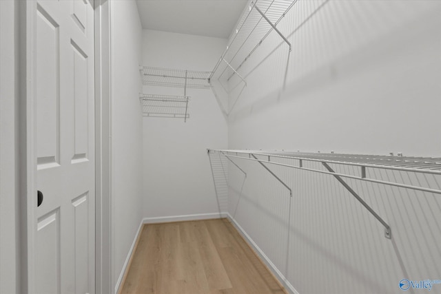 spacious closet with light wood-type flooring