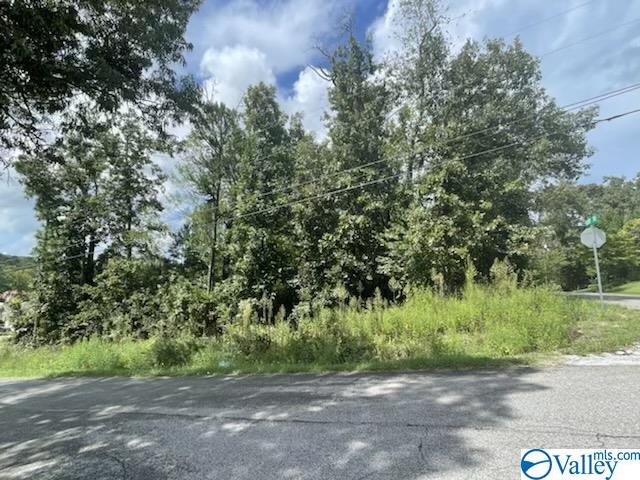 LOT13-14 Anchor Dr, Southside AL, 35907 land for sale