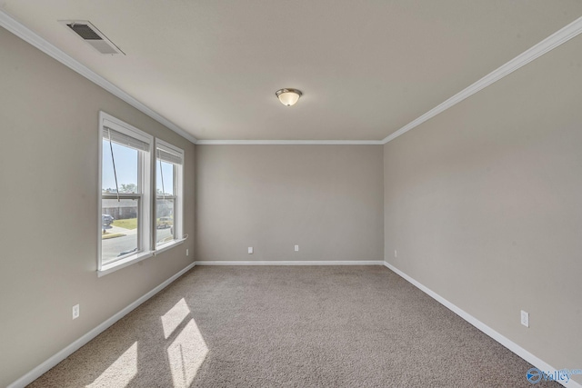 spare room with crown molding and carpet