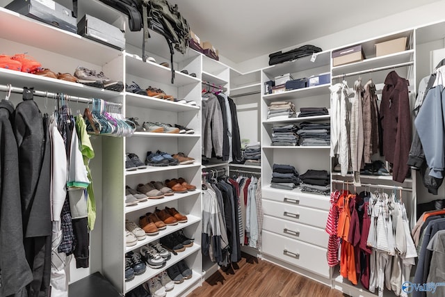 spacious closet with hardwood / wood-style floors