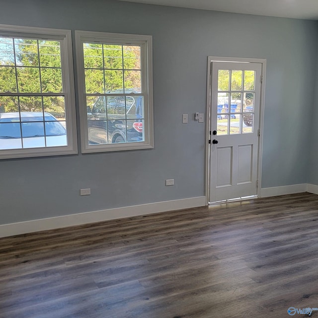 entryway featuring dark wood-type flooring and a healthy amount of sunlight