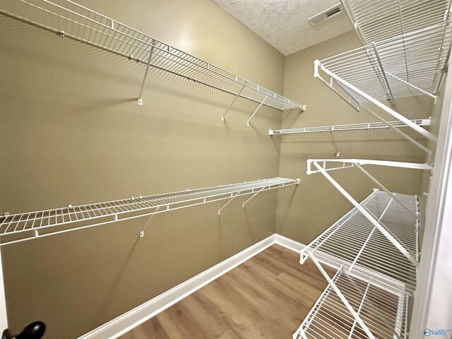 walk in closet with wood-type flooring