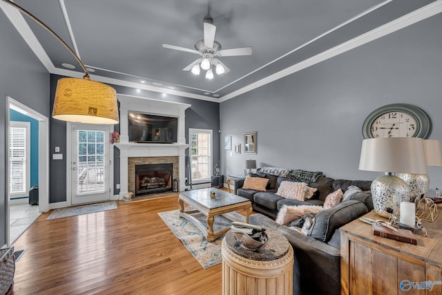 living room featuring ceiling fan, light hardwood / wood-style floors, a healthy amount of sunlight, and crown molding