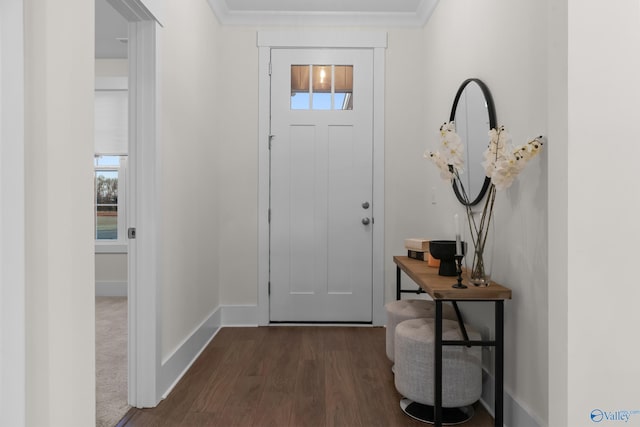 entrance foyer featuring dark wood-style floors, a healthy amount of sunlight, and baseboards