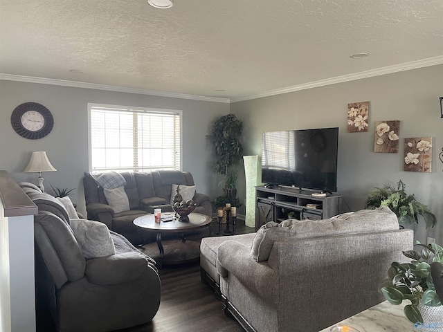 living area featuring a textured ceiling, ornamental molding, and dark wood-type flooring