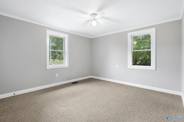 431 County Road 449, Town Creek, AL 35672 - empty room featuring crown molding, a ceiling fan, baseboards, carpet, and a textured ceiling