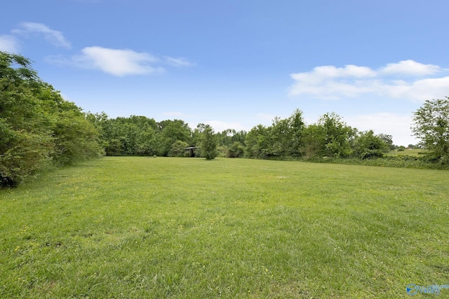 431 County Road 449, Town Creek, AL 35672 - view of green lawn featuring a view of rural / pastoral area and a view of trees