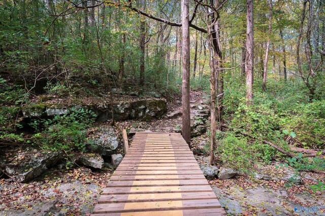1603 Calistoga Cir, Huntsville, AL 35811 - view of property's community featuring a view of trees