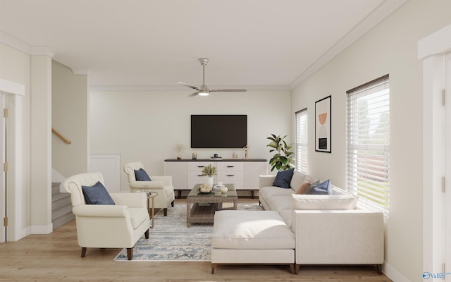 living room with crown molding, ceiling fan, and light hardwood / wood-style flooring