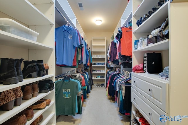 spacious closet featuring light colored carpet