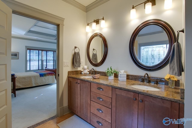 bathroom with crown molding, wood-type flooring, and vanity