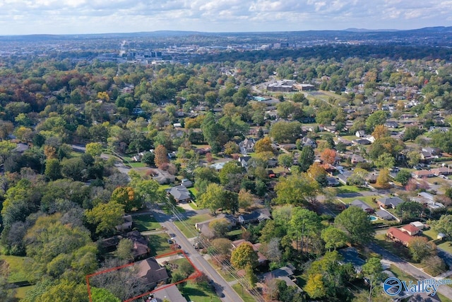 drone / aerial view