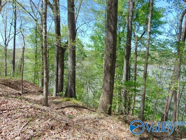 18288 Blue Springs Rd, Athens AL, 35611 land for sale