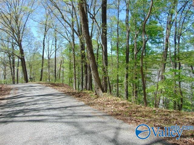 Listing photo 3 for 18288 Blue Springs Rd, Athens AL 35611