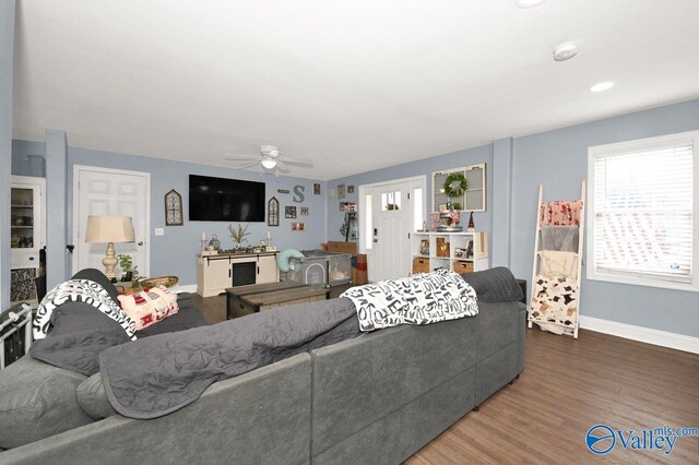 899 Pine Grove Rd, Harvest, AL 35749 - living area with a ceiling fan, baseboards, and wood finished floors