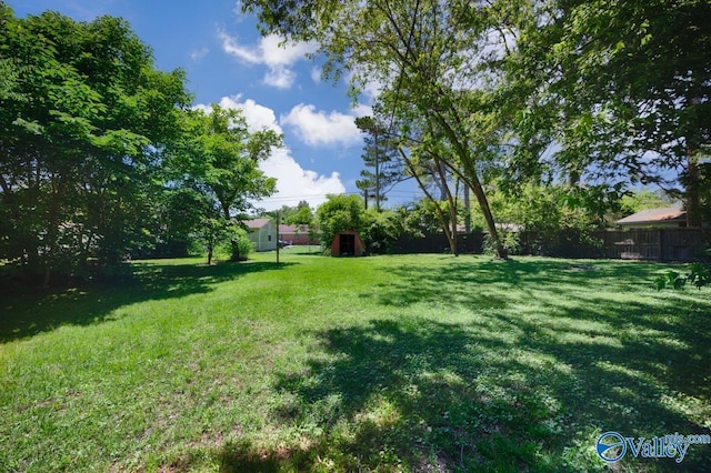 1007 Honeysuckle Ln SW, Decatur, AL 35601 - view of yard