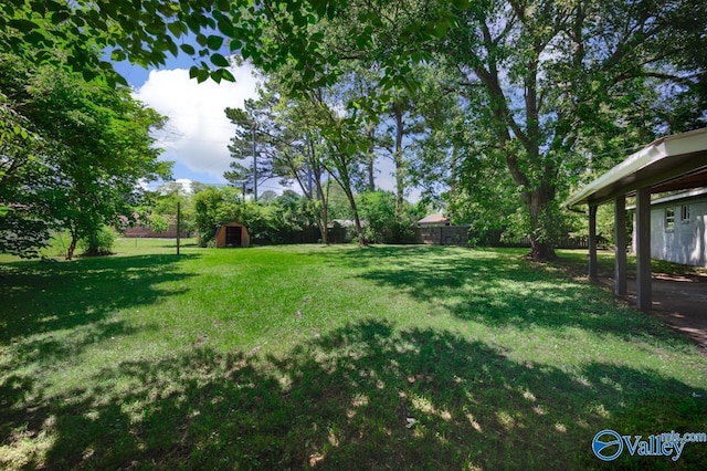 1007 Honeysuckle Ln SW, Decatur, AL 35601 - view of yard